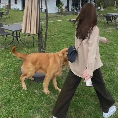 拜拜